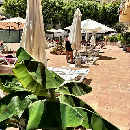 With Terrace & Seasonal Pool Terraza Y Piscina